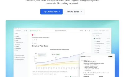 Data Analyst 必看：Julius AI 如何用自然語言顛覆資料分析